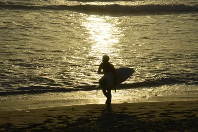 DSC_7261 (Large).JPG